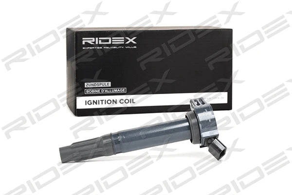 Ignition Coil Unit (689C0166)