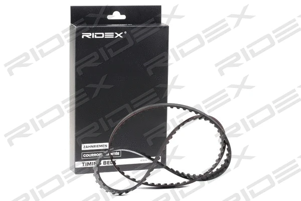 Timing Belt