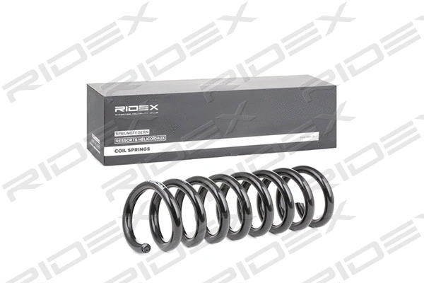 Suspension Spring
