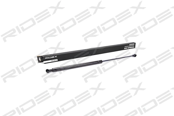 Gas Spring, boot/cargo area (219G0049)