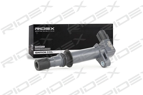 Ignition Coil (689C0047)