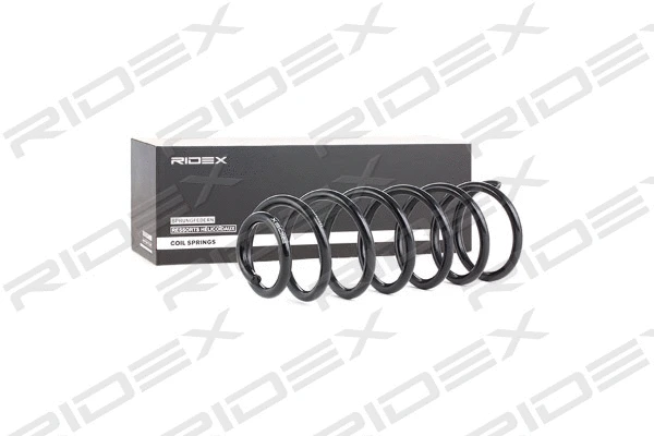 Suspension Spring (188C0369)