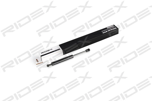 Gas Spring, boot/cargo area (219G0131)