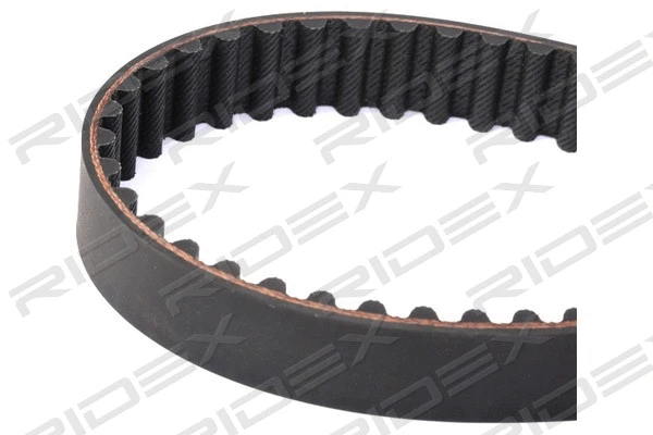 Timing Belt
