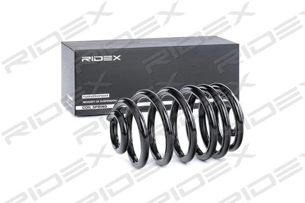 Suspension Spring (188C0471)