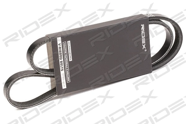 V-Ribbed Belt (305P0021)