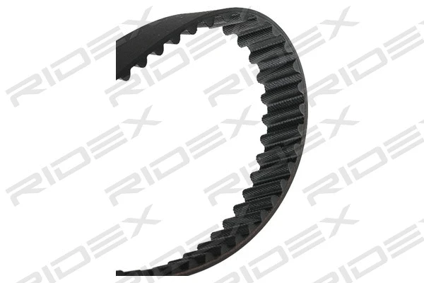 Timing Belt