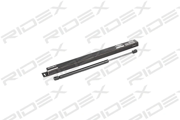 Gas Spring, boot/cargo area (219G0016)