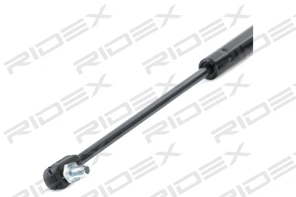 Gas Spring, boot/cargo area (219G0841)