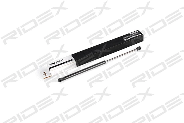 Gas Spring, boot/cargo area (219G0186)