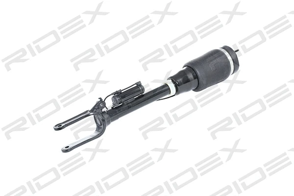 Air Suspension Strut