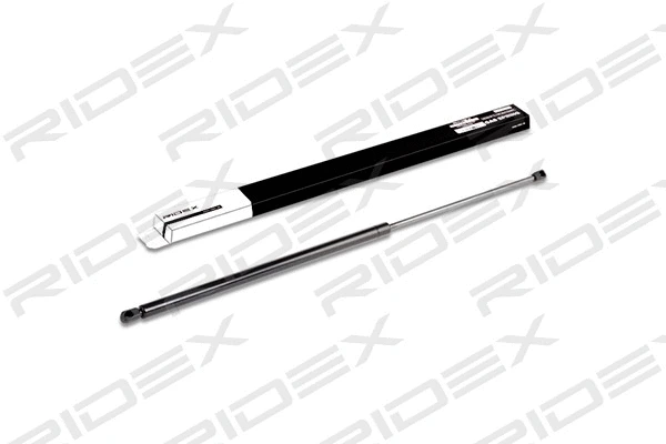 Gas Spring, boot/cargo area (219G0353)