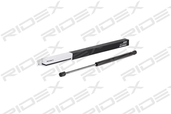 Gas Spring, boot/cargo area (219G0273)
