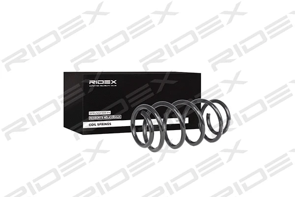 Suspension Spring