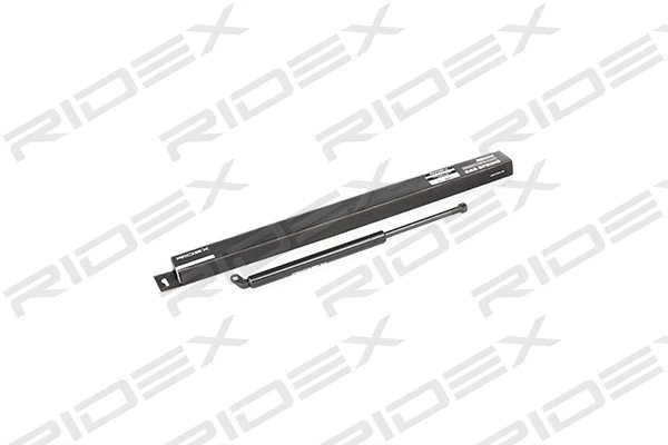Gas Spring, boot/cargo area