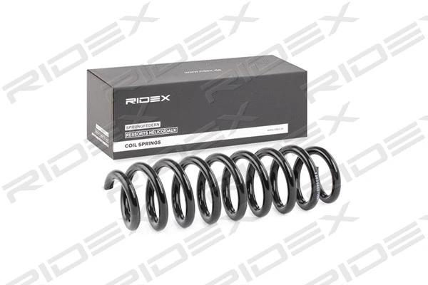 Suspension Spring (188C0529)