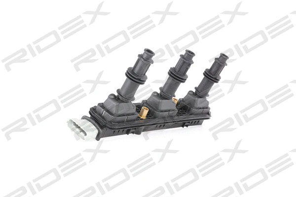 Ignition Coil (689C0275)