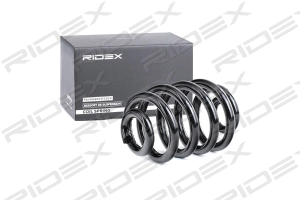 Suspension Spring (188C0380)