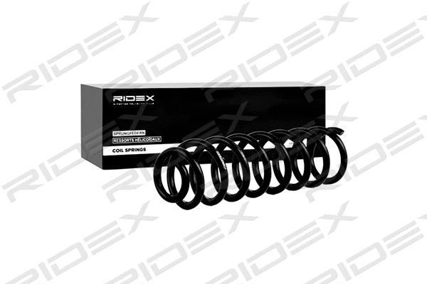 Suspension Spring (188C0040)
