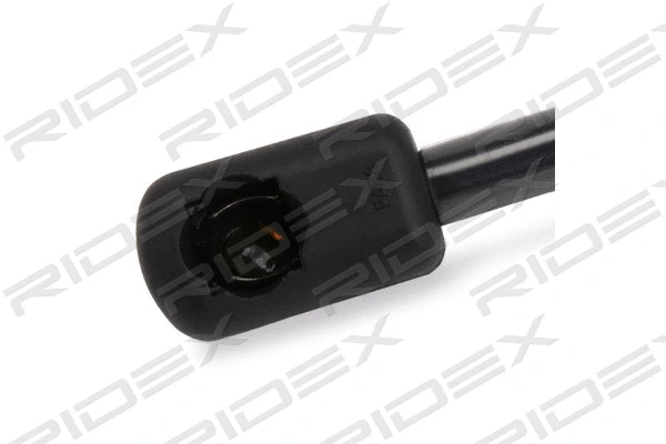 Gas Spring, boot/cargo area (219G0177)