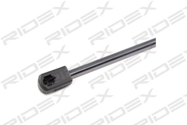Gas Spring, boot/cargo area (219G0453)