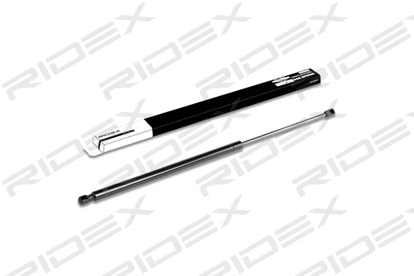 Gas Spring, boot/cargo area (219G0113)