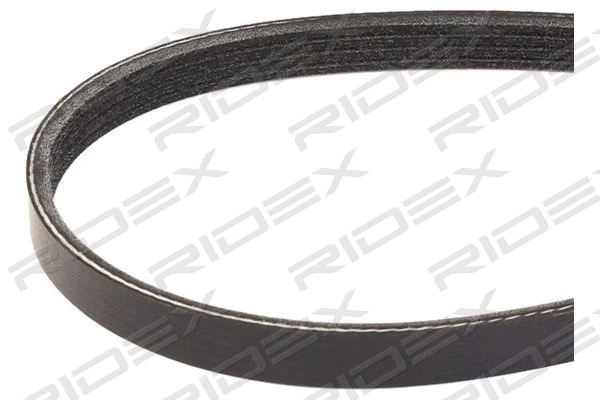 V-Ribbed Belt (305P0434)