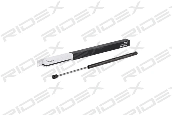 Gas Spring, boot/cargo area (219G0452)