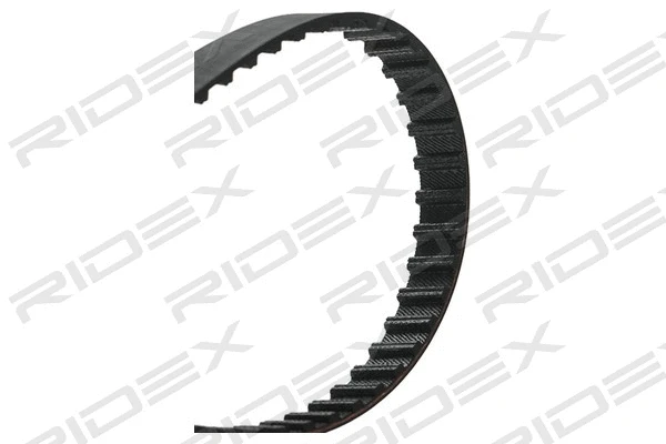 Timing Belt