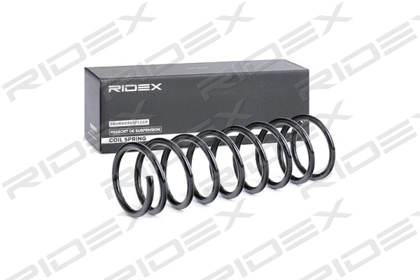 Suspension Spring (188C0480)