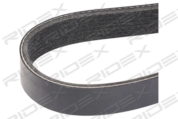 V-Ribbed Belt (305P0419)