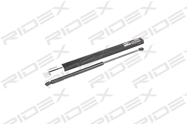 Gas Spring, boot/cargo area