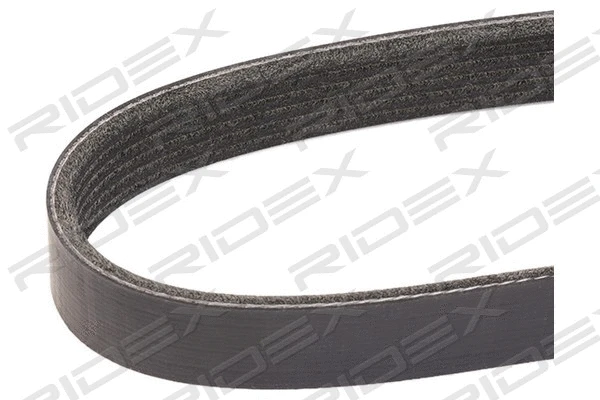 V-Ribbed Belt (305P0094)