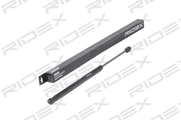 Gas Spring, boot/cargo area