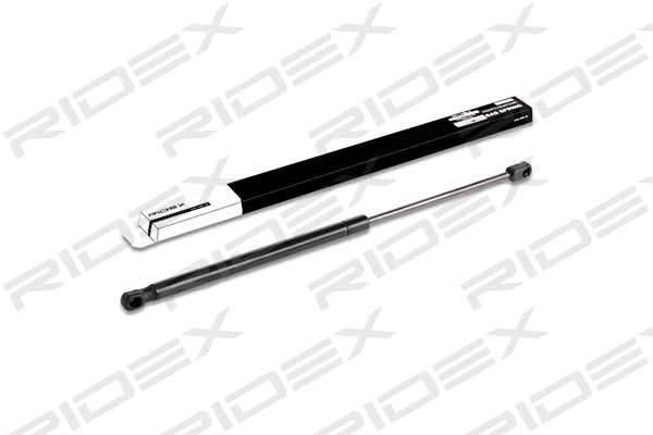 Gas Spring, boot/cargo area (219G0188)