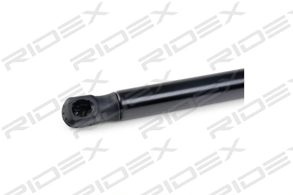 Gas Spring, boot/cargo area (219G0748)