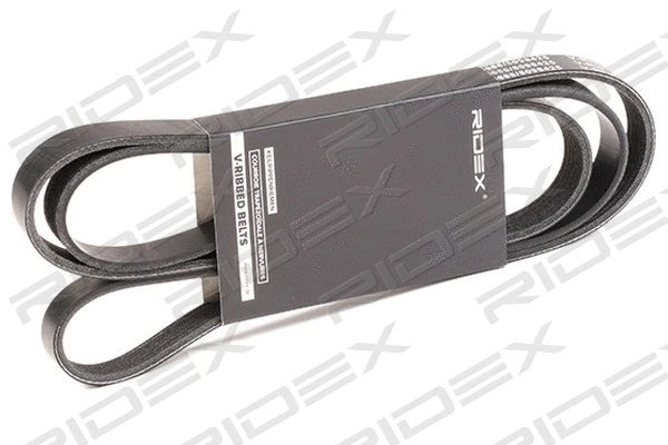 V-Ribbed Belt (305P0089)