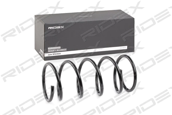 Suspension Spring (188C0479)