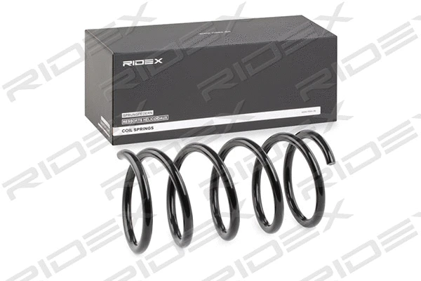 Suspension Spring (188C0538)