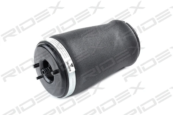 Air Spring, suspension (4119A0013)