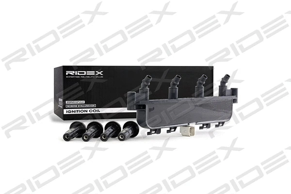 Ignition Coil (689C0067)