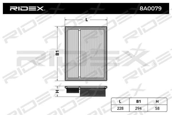 Air Filter (8A0079)
