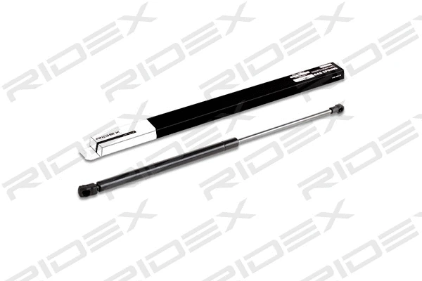 Gas Spring, boot/cargo area (219G0226)