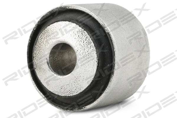 Mounting, axle strut (251T0575)