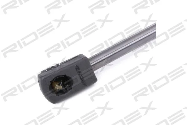 Gas Spring, boot/cargo area (219G0469)