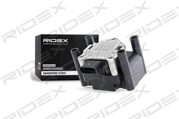 Ignition Coil (689C0014)