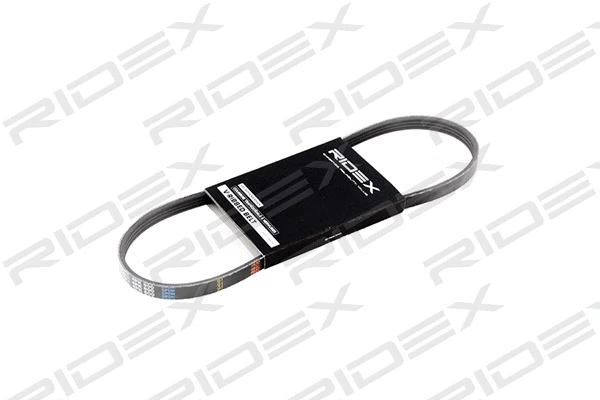 V-Ribbed Belt (305P0010)