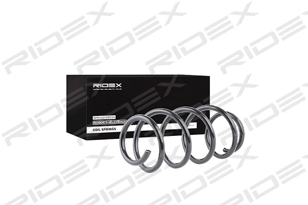 Suspension Spring (188C0319)