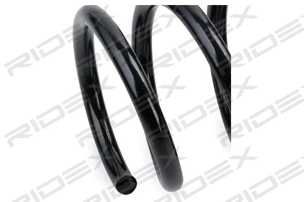 Suspension Spring (188C0534)