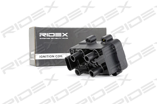 Ignition Coil (689C0232)
